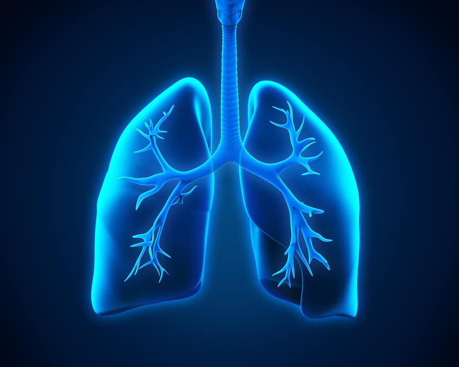 Home care can help aging senior with support and care to avoid or reduce chances of lung diseases like COPD.